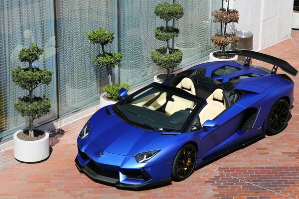 Lamborghini aventador matte blue