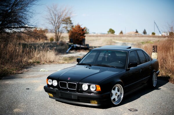 BMW nera messa a punto, bellezza