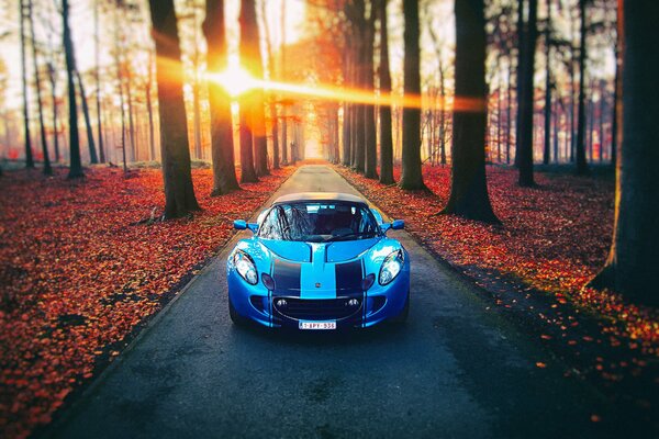 Blauer Sportwagen im Herbstwald