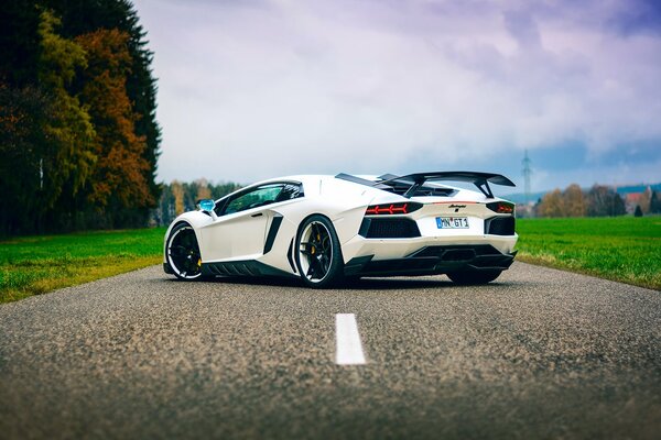 White Lamborghini sports car on the background of nature