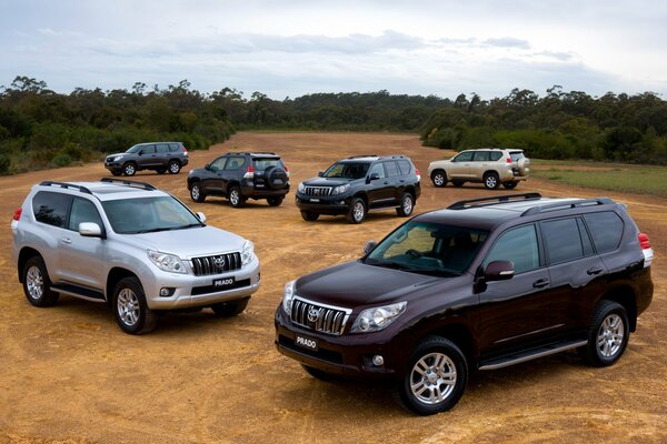 Toyota SUVs in der afrikanischen Savanne