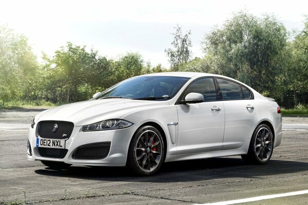 Jaguar sportive