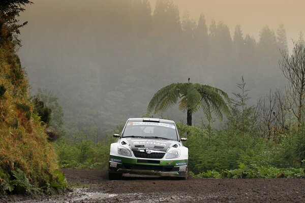 Skoda Fabia en medio de la niebla