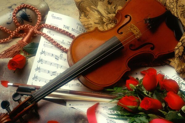 Musician s violin and appreciation of the stage