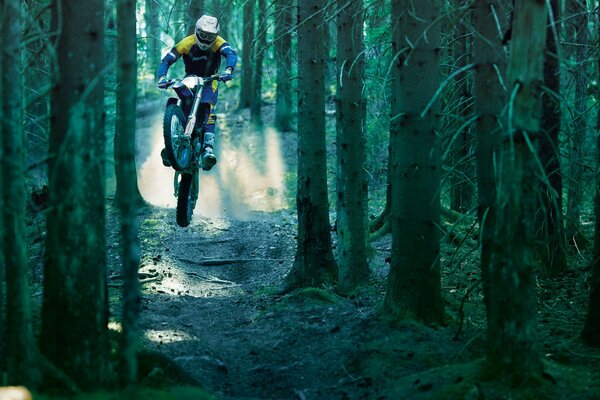 Un motorista monta entre los árboles en el bosque