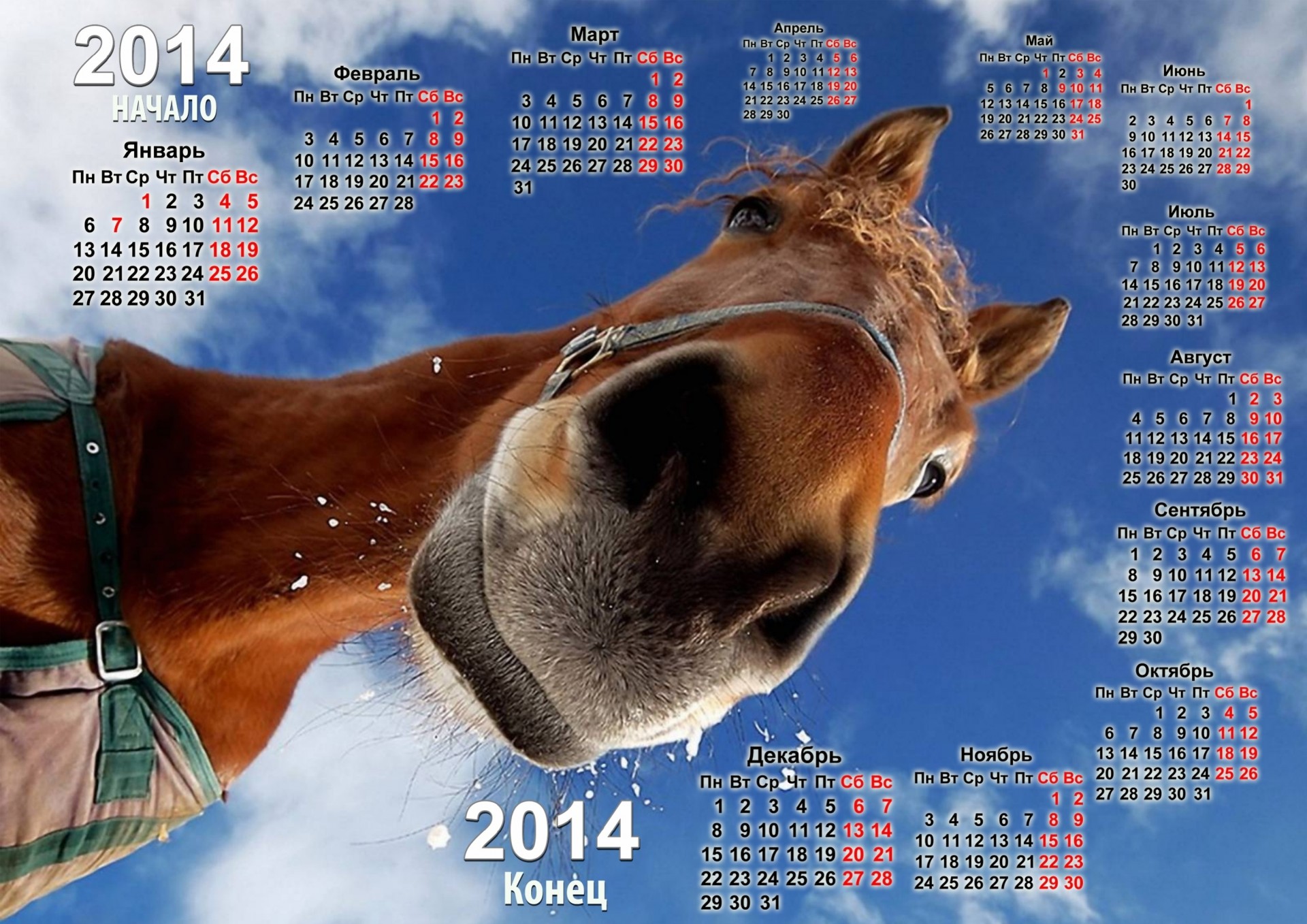 2014 year of the horse calendar