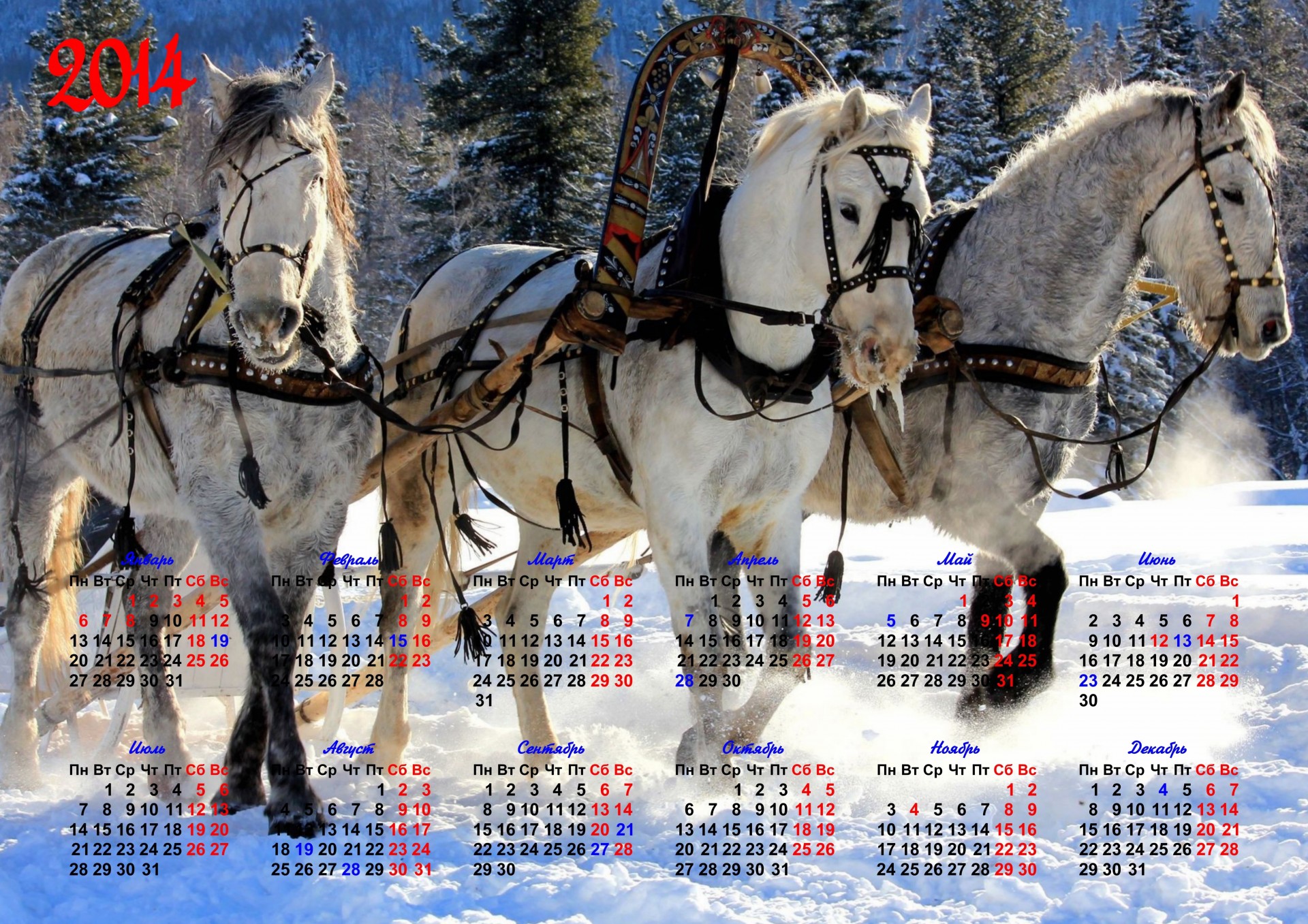 2014 anno del cavallo calendario