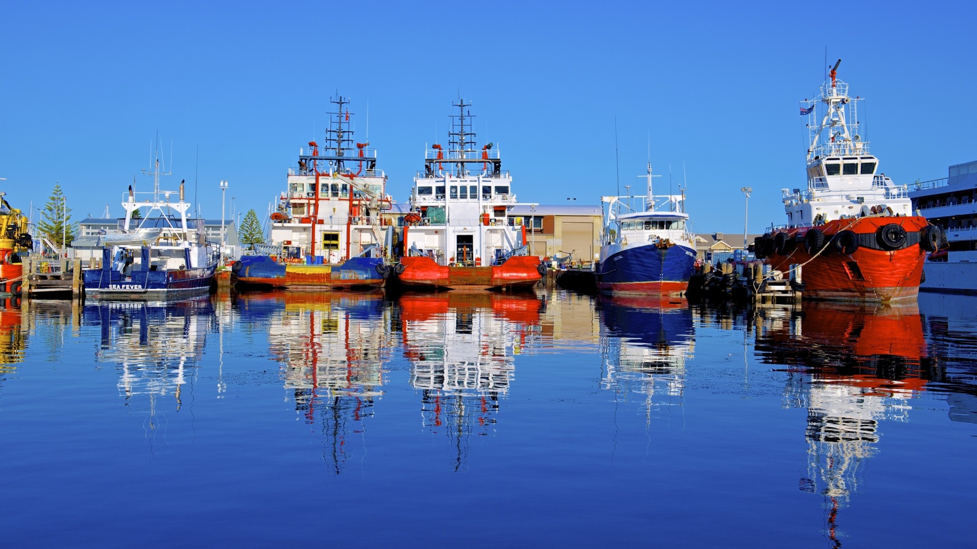 riflessione australia porto sinfonia