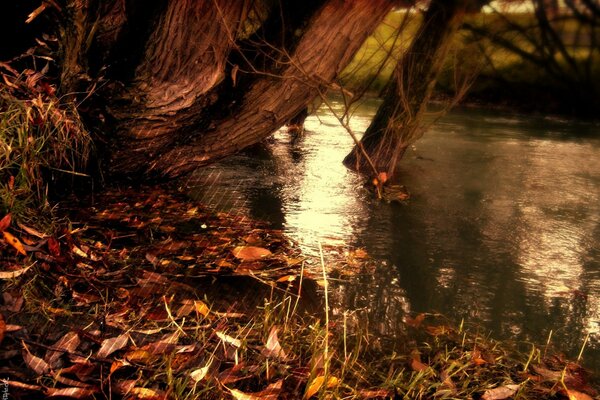 Herbstliche Schönheit in der Reflexion des Sees