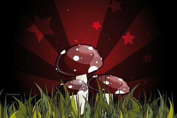 Poisonous red mushrooms under the stars