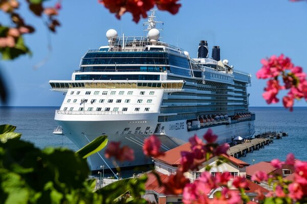 Cruise ship at sea through flowers