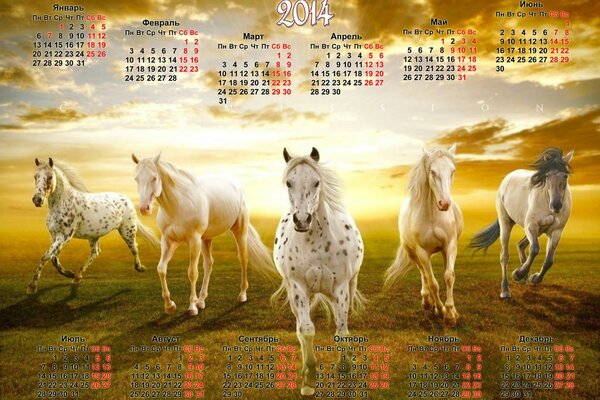 Calendario 2014 con cavalli in corsa