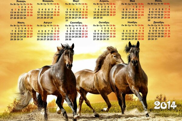 Calendrier 2014 avec les chevaux qui courent au coucher du soleil