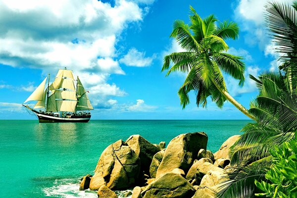 Paradise beach. Sailboat at sea