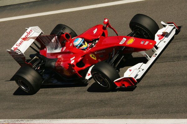 Fernando Alonso Formula 1 competitions