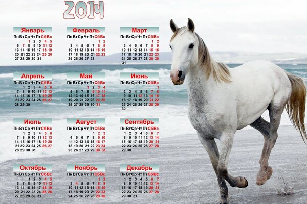 Calendario 2014 con caballo blanco