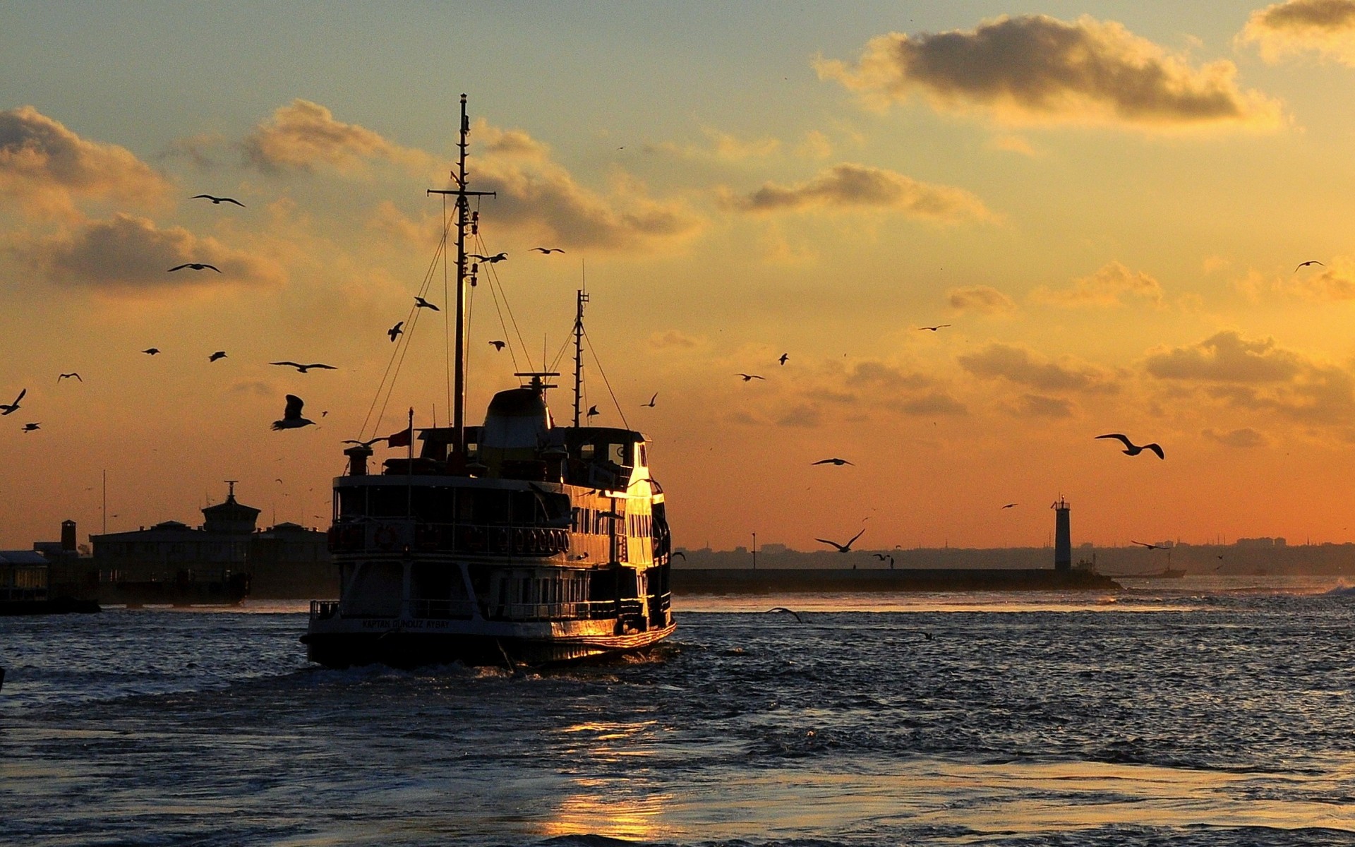 hip landscape sea gull