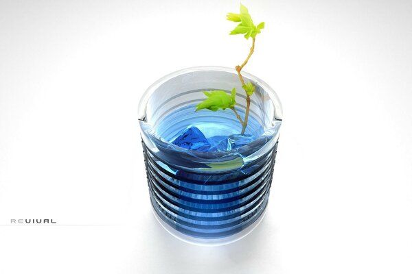 A small plant in a glass of water