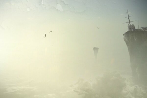 Oiseaux volants dans les nuages