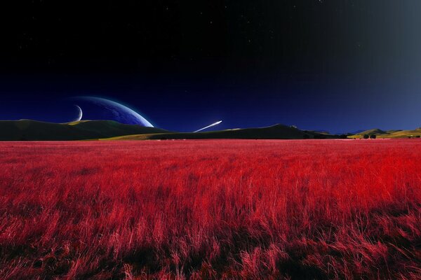 A magical red field. Fantasy