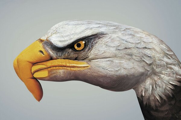 Evaluar el trabajo. Águila pintada en la mano, con pinturas