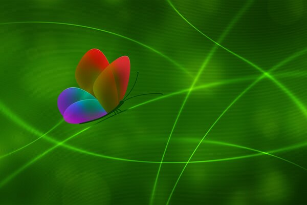 Цветная бабочка на зеленом фоне