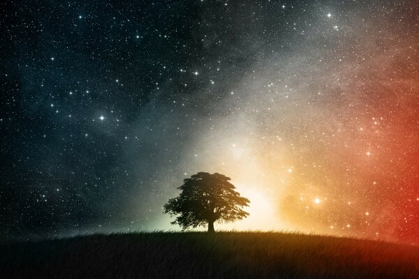 Un árbol solitario en un campo por la noche contra el cielo estrellado