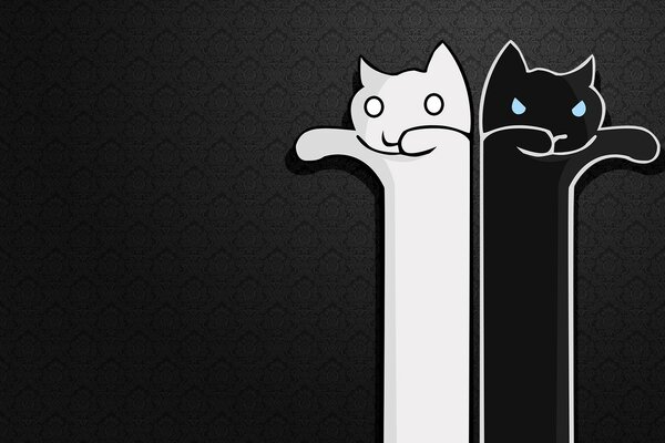 Long yin-yang cats on a black background