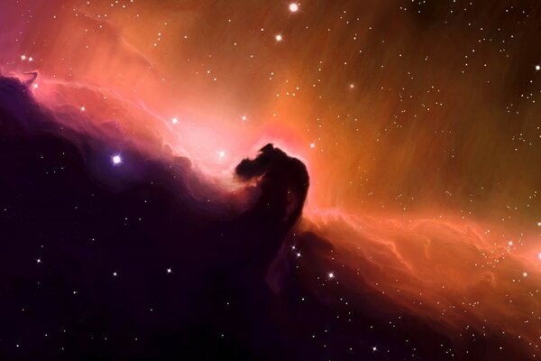 Nebulosa cabeza de caballo. foto del espacio