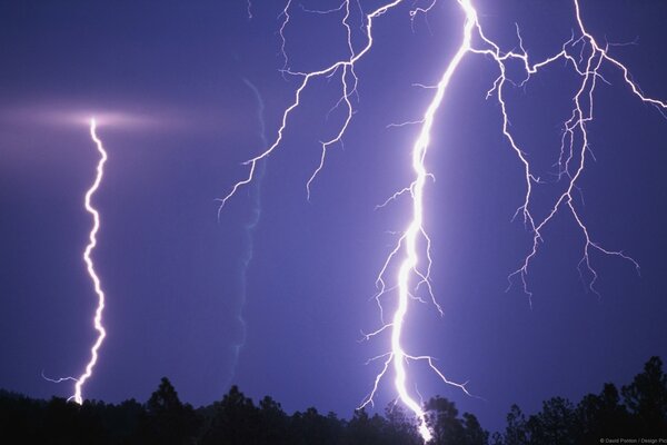 A lot of lightning over the forest. thunderstorm at night