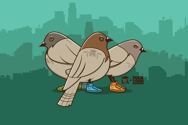 On a green background, three beige pigeons in sneakers