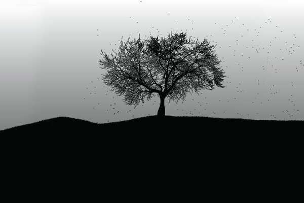 Schwarz-Weiß-Bild mit einem einsamen Baum in der Ferne