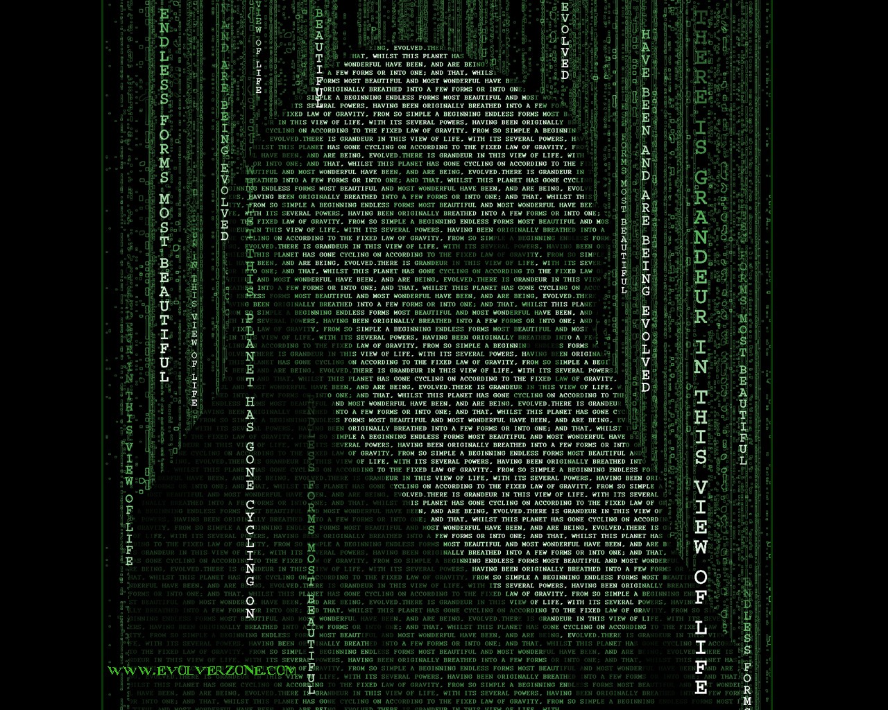 darwin matrix typografie