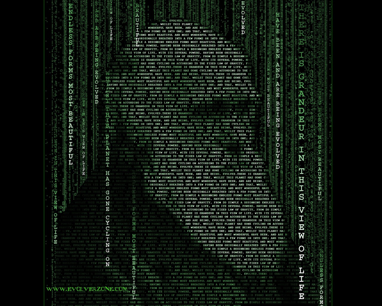 darwin matrix typography