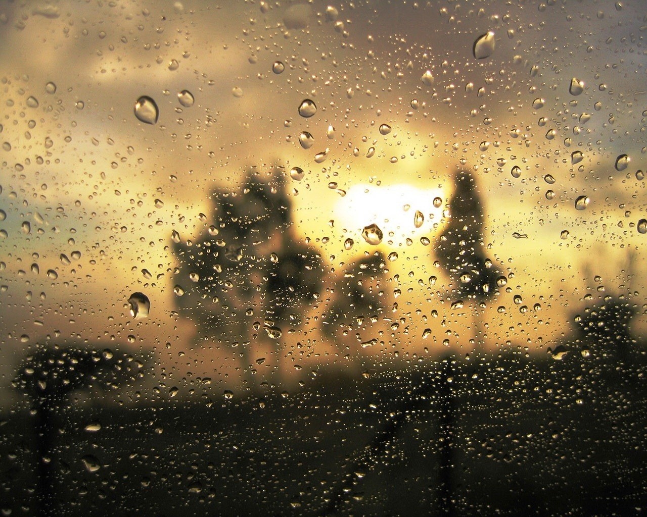 regen tropfen nähe glas trübung gold