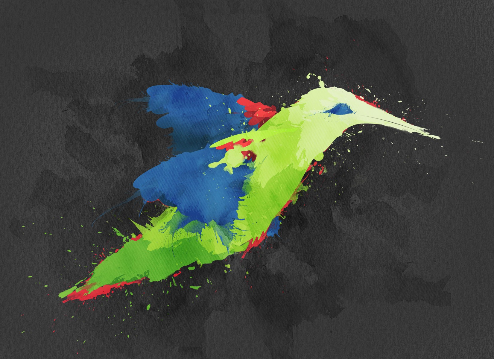 bird paints vector watercolor