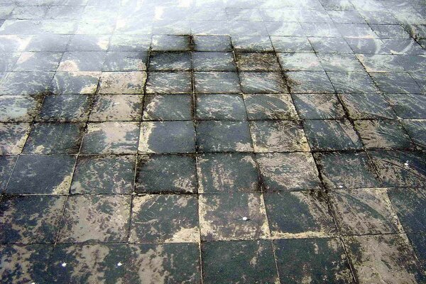 El equipaje de piedra de los Azulejos en el camino