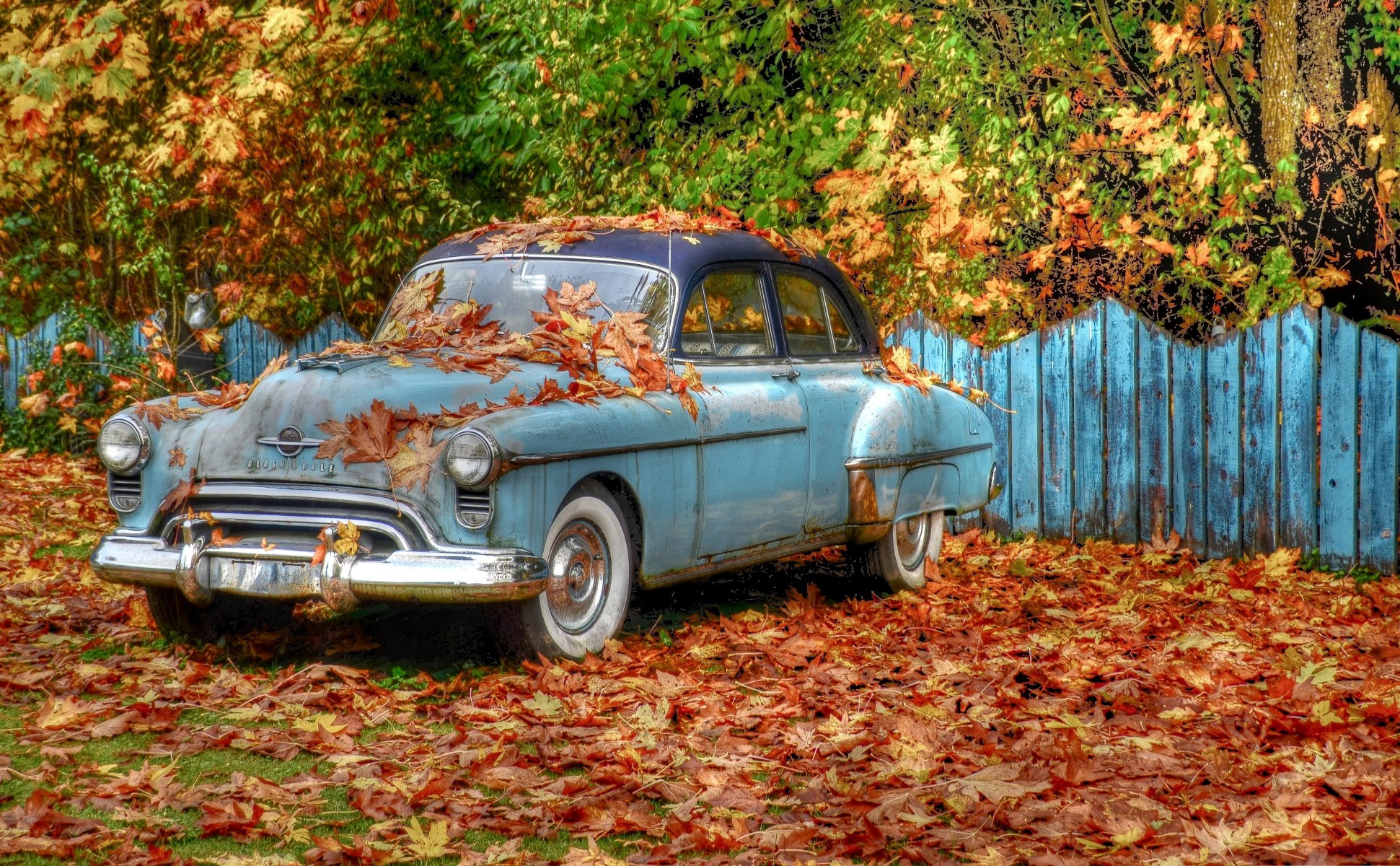 oldsmobile voiture rétro arbres feuillage clôture automne hdr