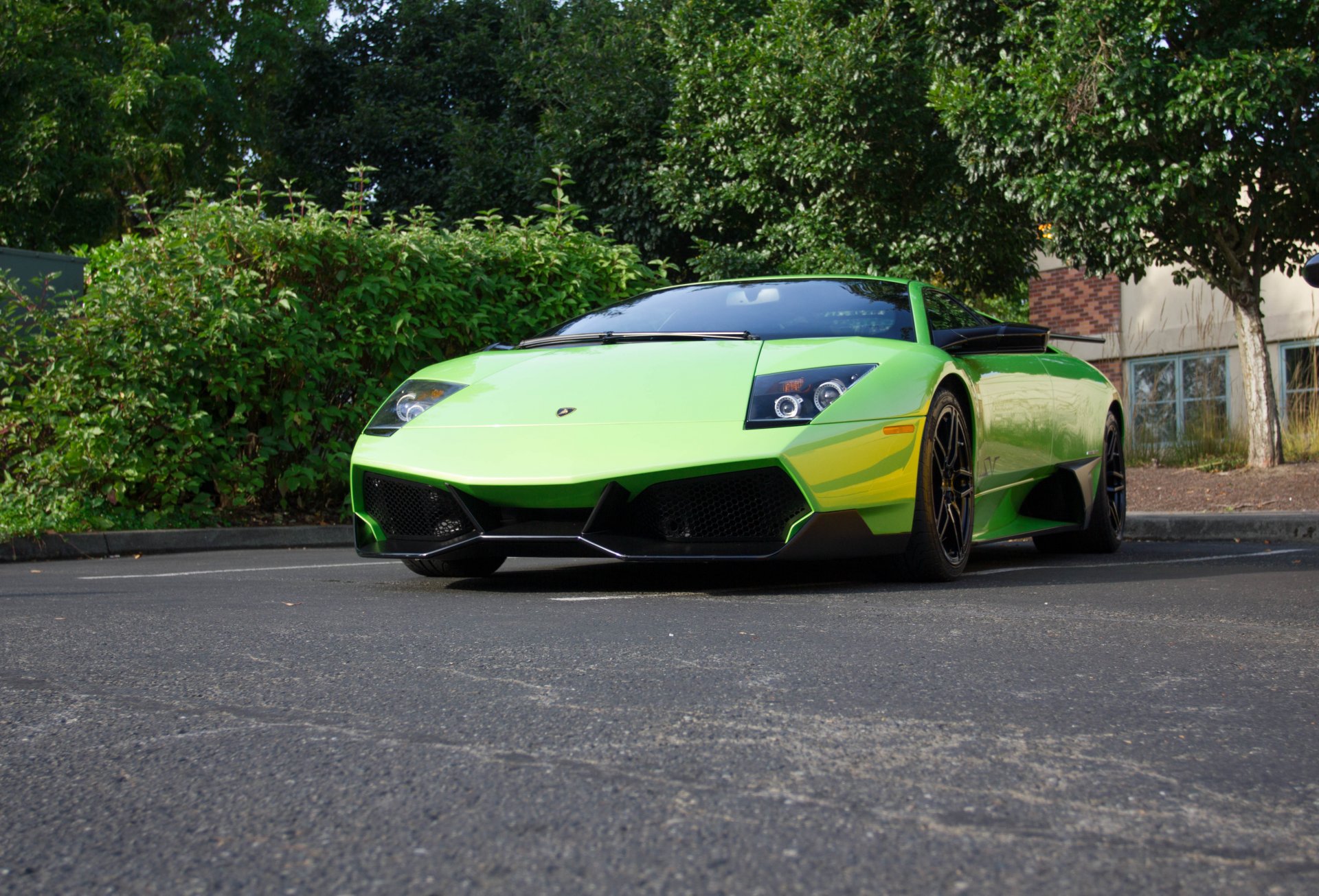 lamborghini murcielago lp670-4 sv zielony lamborghini murcielago limonkowy widok z przodu krzew drzewa