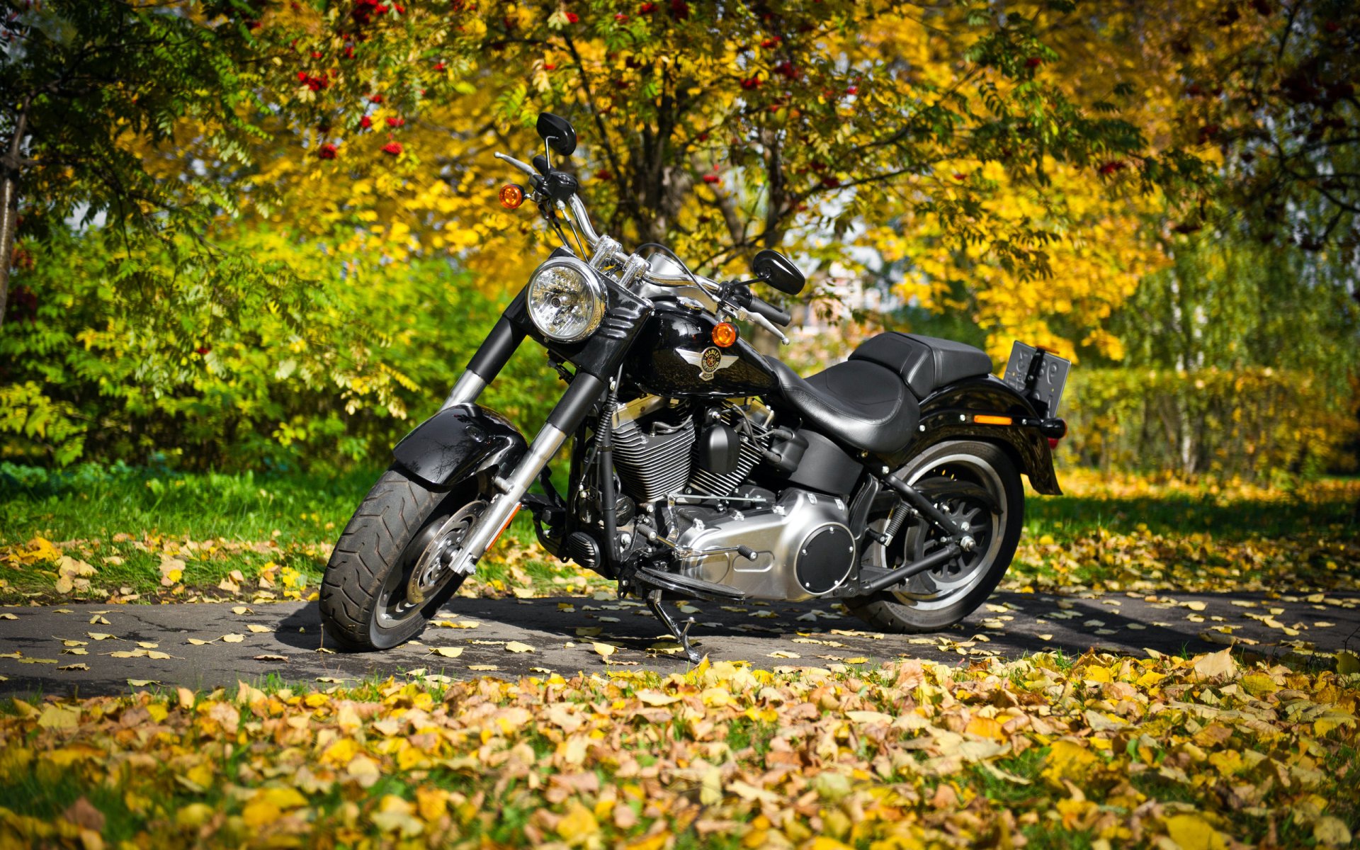 bike harley-davidson nature forest leaves autumn foliage