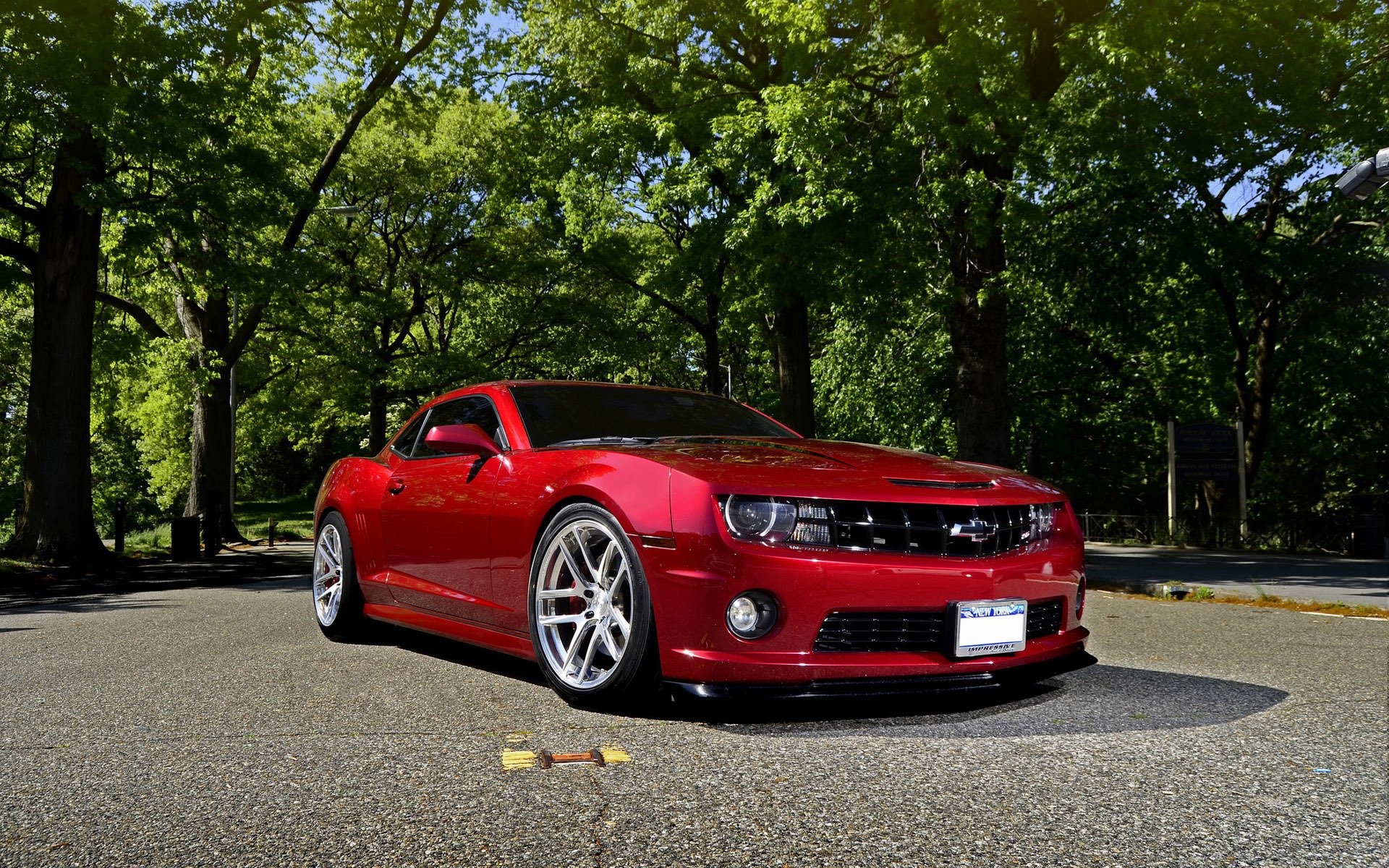 chevrolet camaro ss chevrolet camaro rojo auto árboles coche del músculo