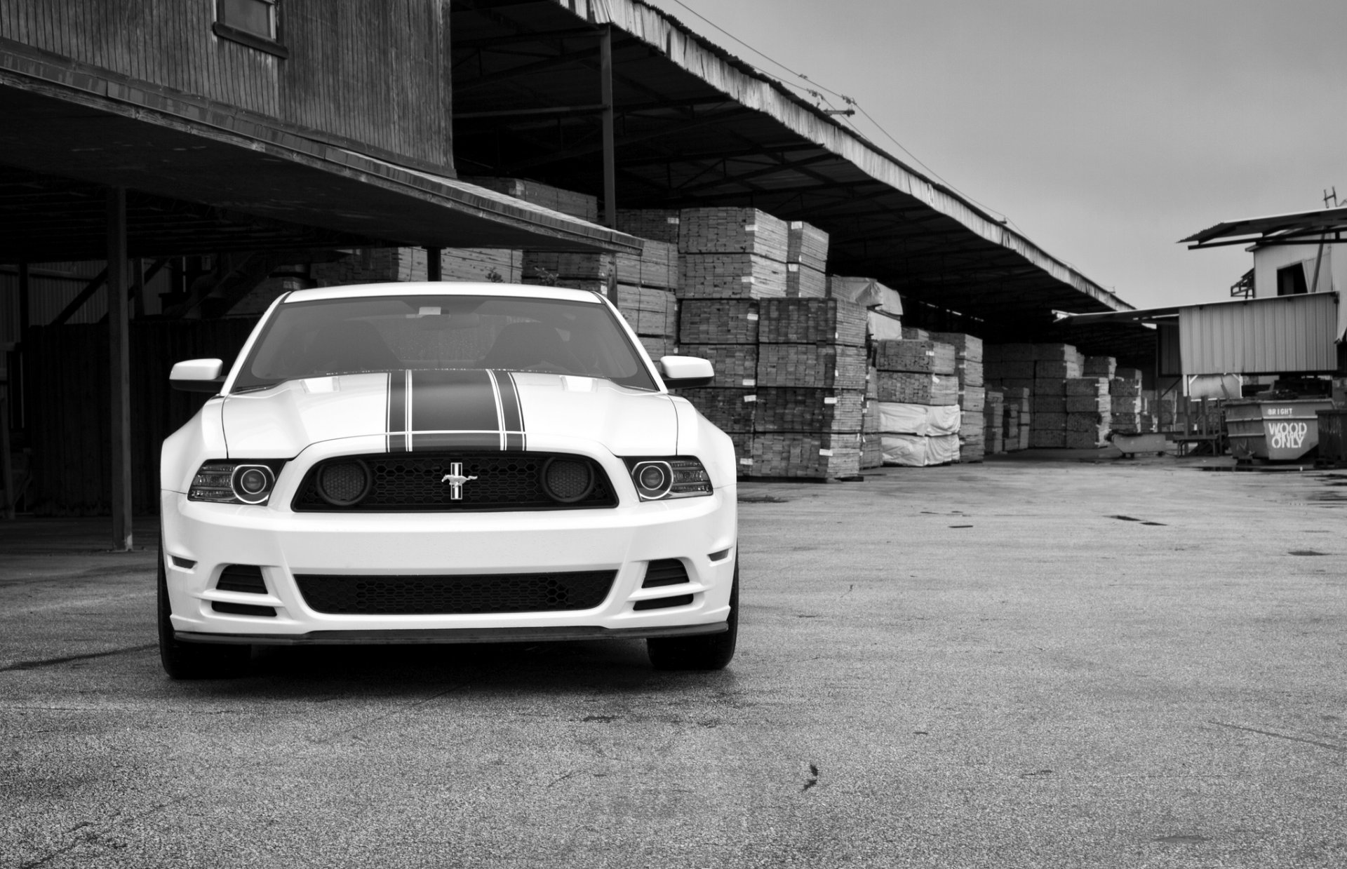 ford mustang jefe 302 blanco ford mustang jefe 302 frente