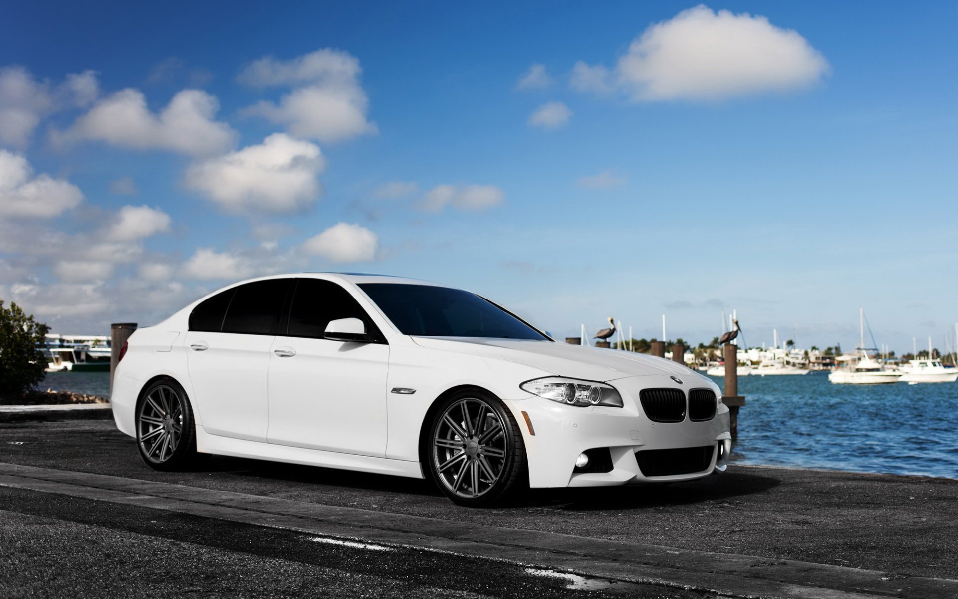 bmw 5 series bmw sedan auto white f10 car