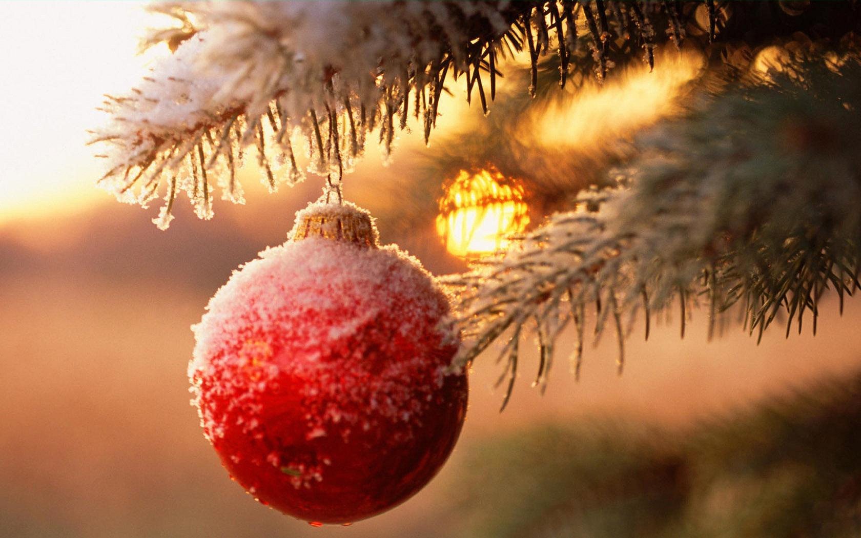 neues jahr zweig weihnachtsbaum ballon