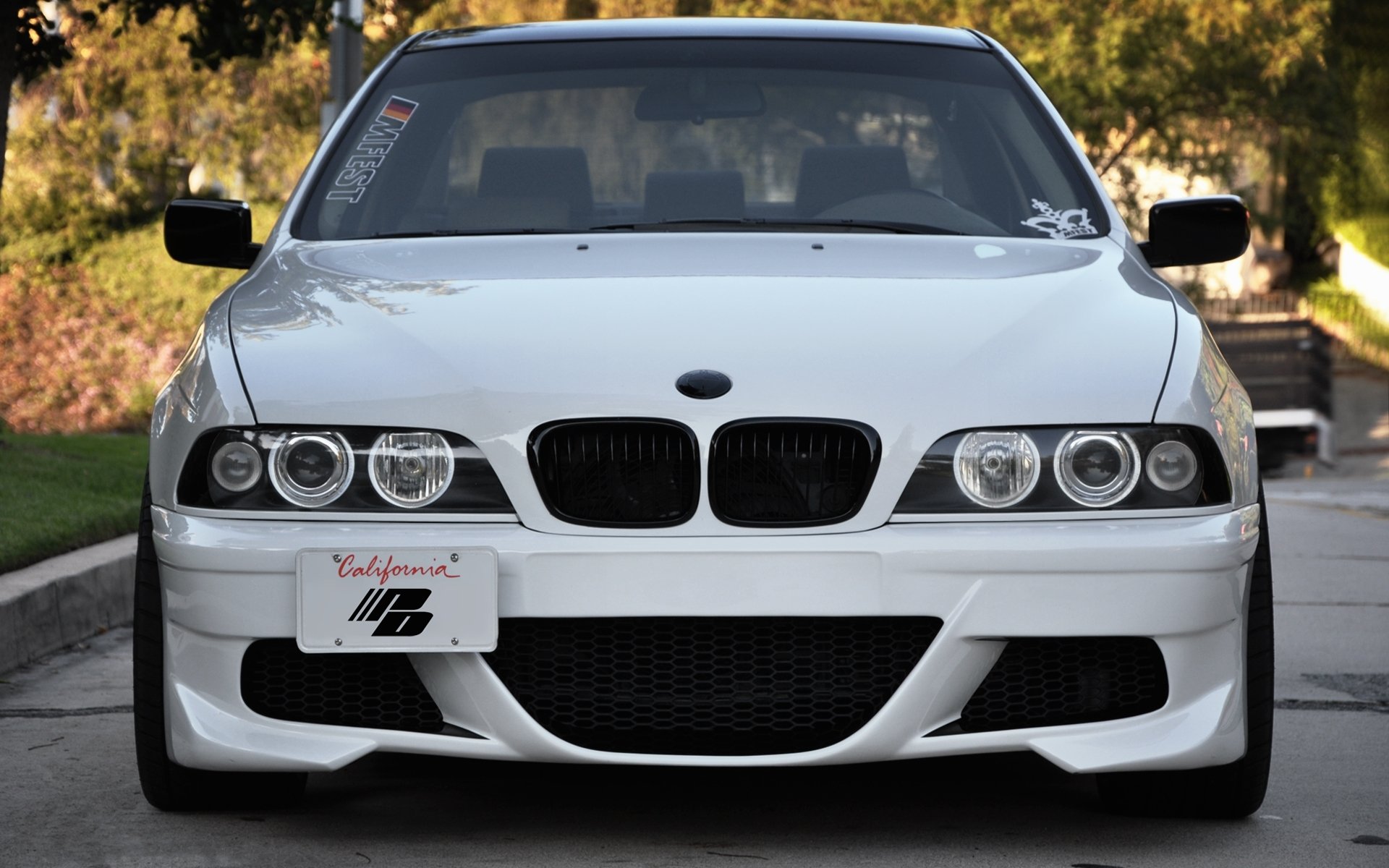 bmw auto samochody tuning przed drzewami