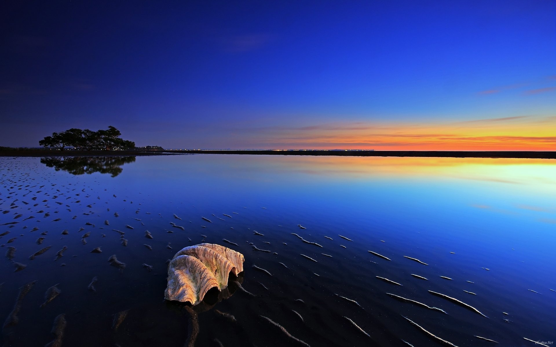 mare acqua tramonto cielo alberi