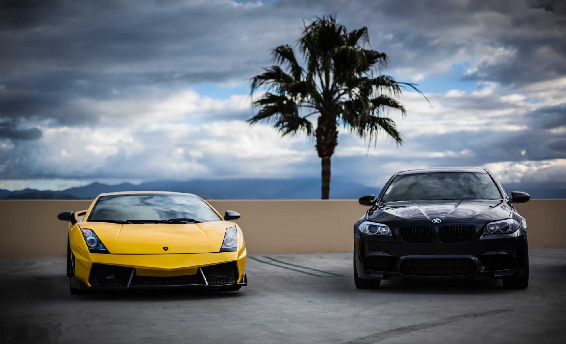 lamborghini gallardo lp570-4 superleggera yellow bmw m5 f10 black lamborghini gaillardo superleggera bmw front view palm tree sky cloud