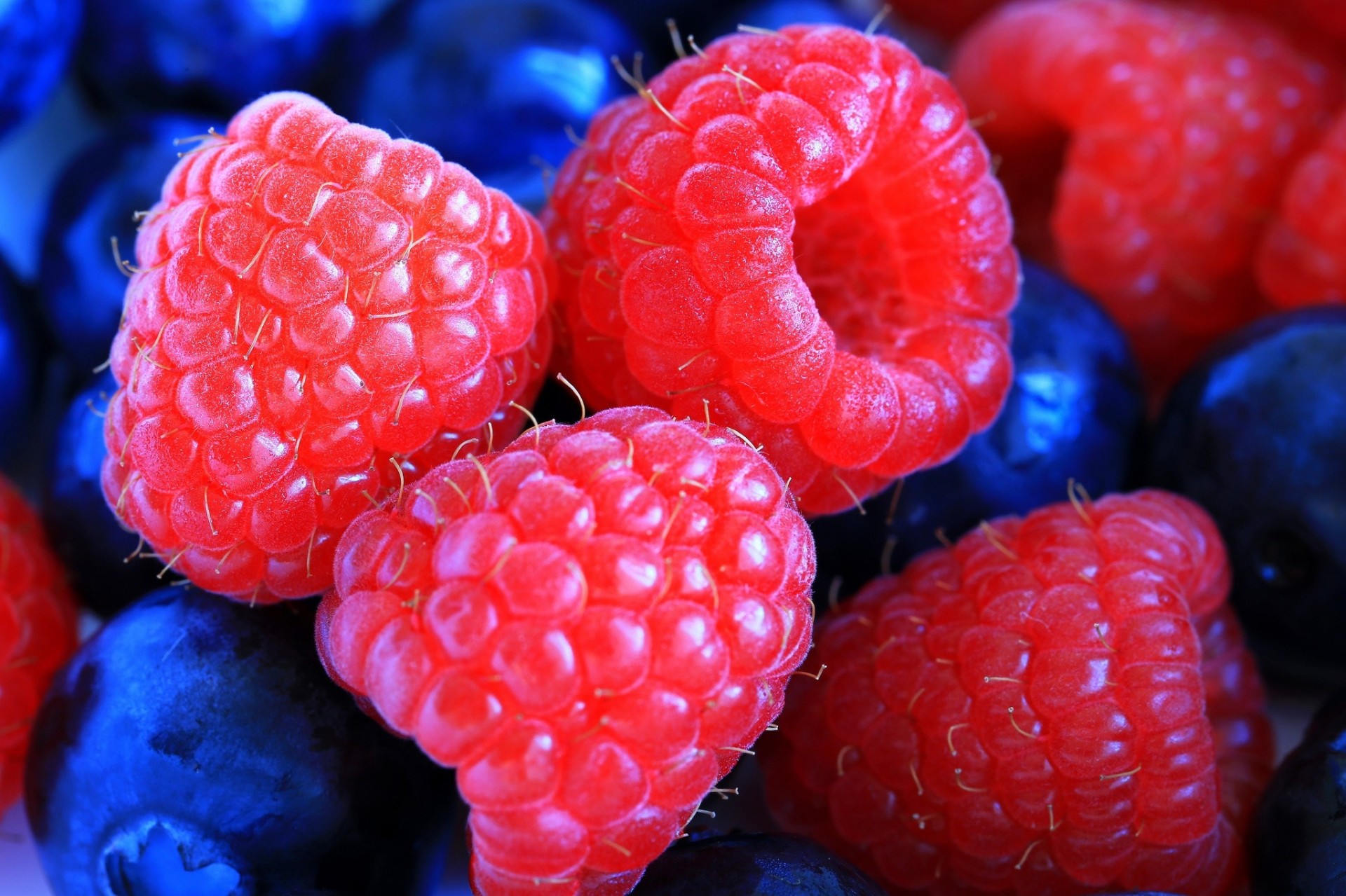 beeren himbeeren blaubeeren