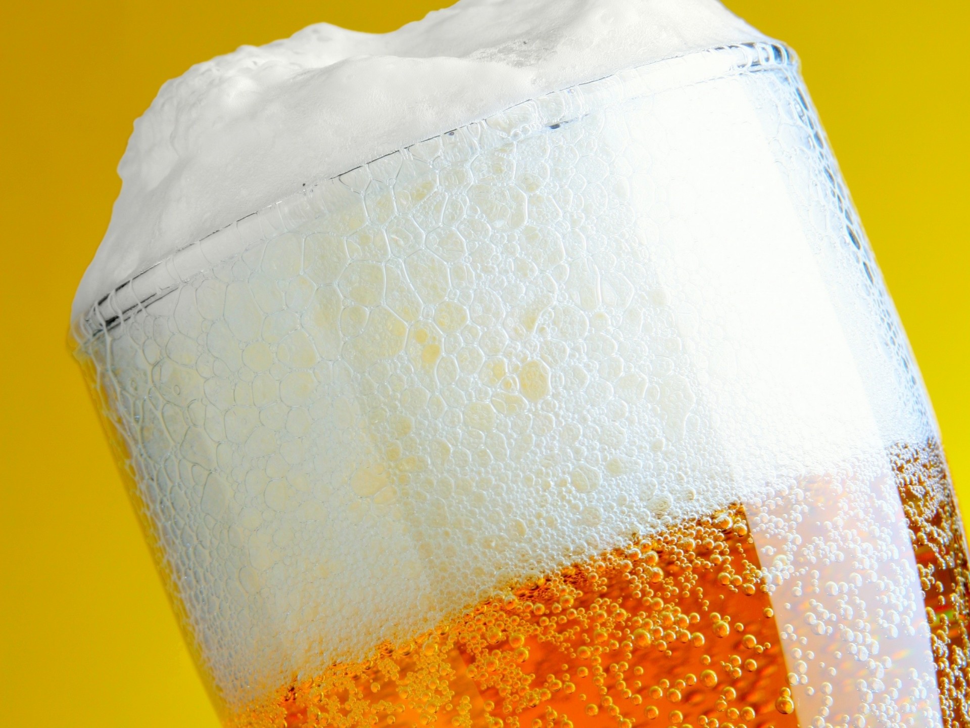 foam drinking glass beer