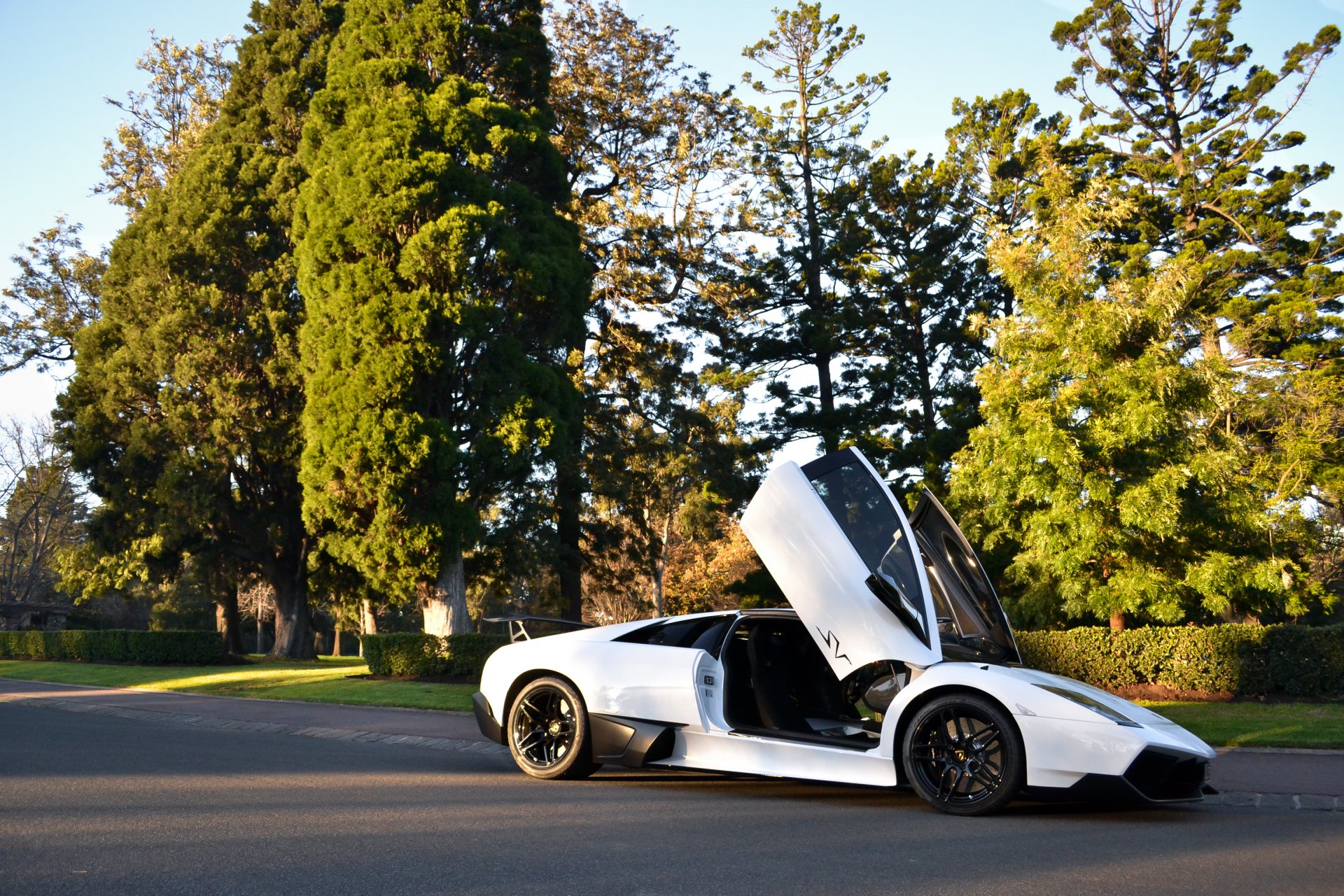 lamborghini murcielago lp670-4 sv blanc rue lamborghini murcielago vue latérale arbres